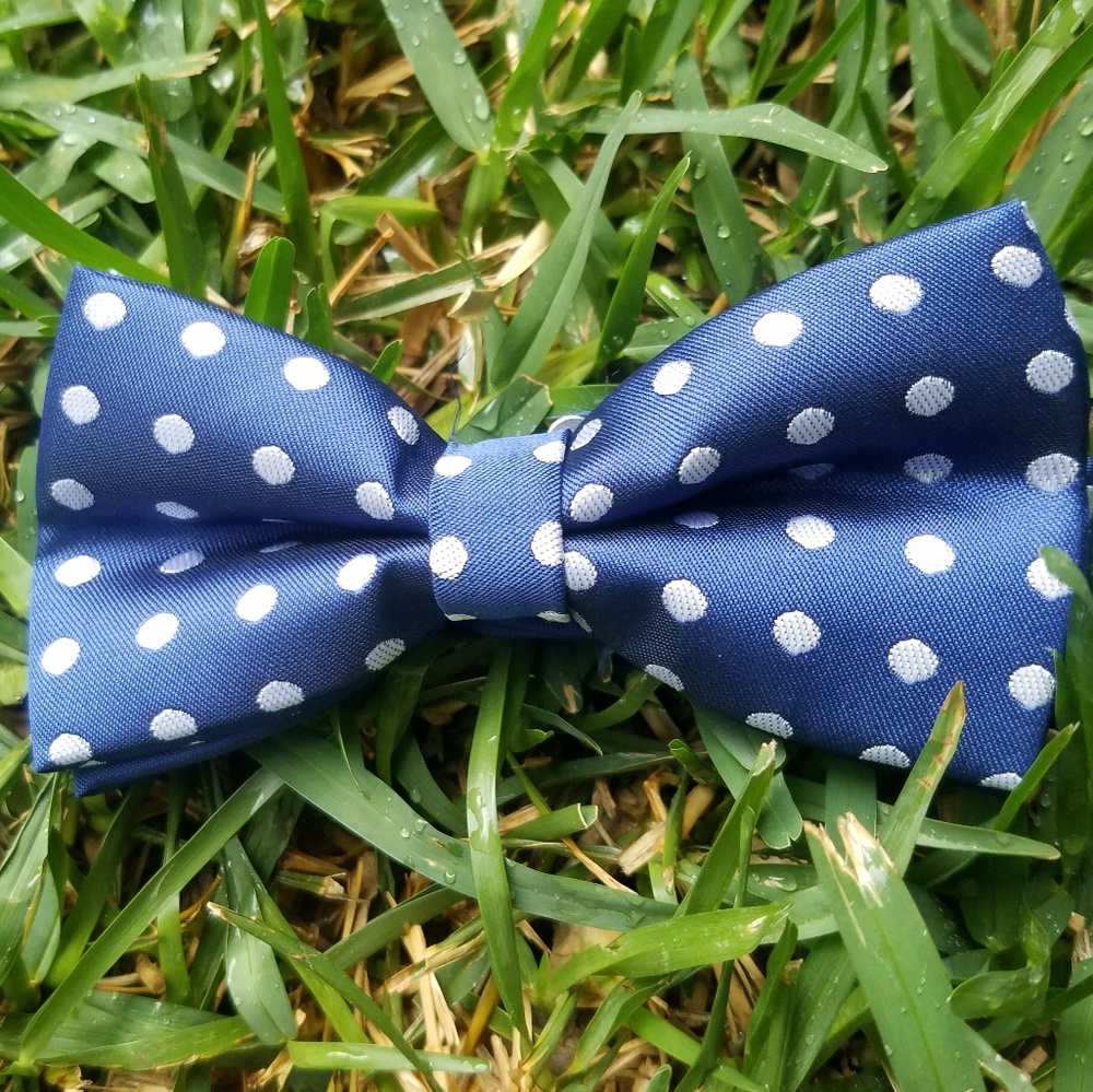 Bow Tie